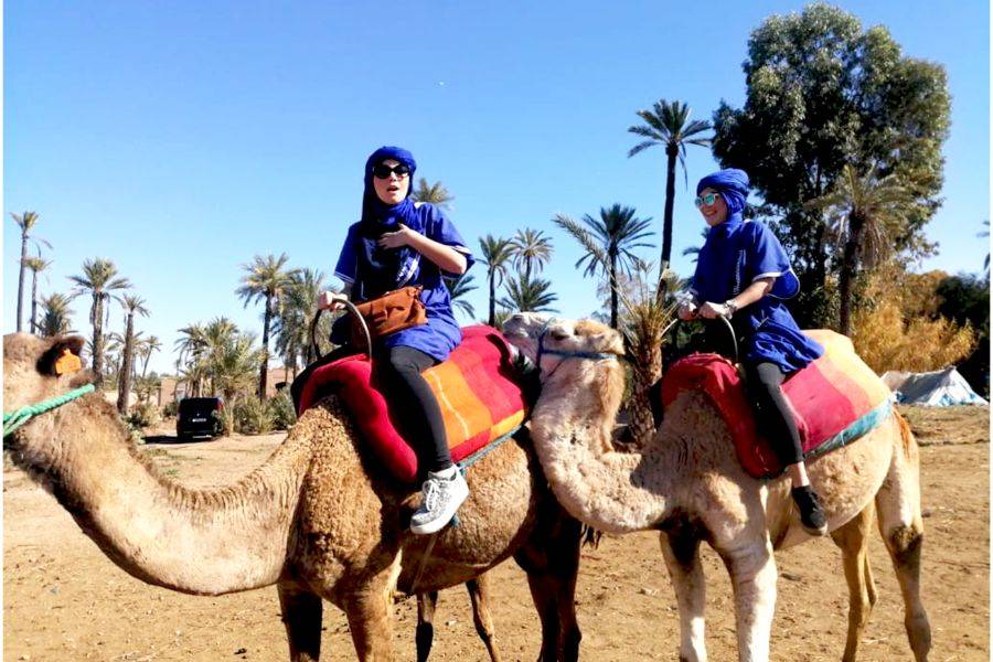 Buggy, Camel & Spa Experience en Marrakech