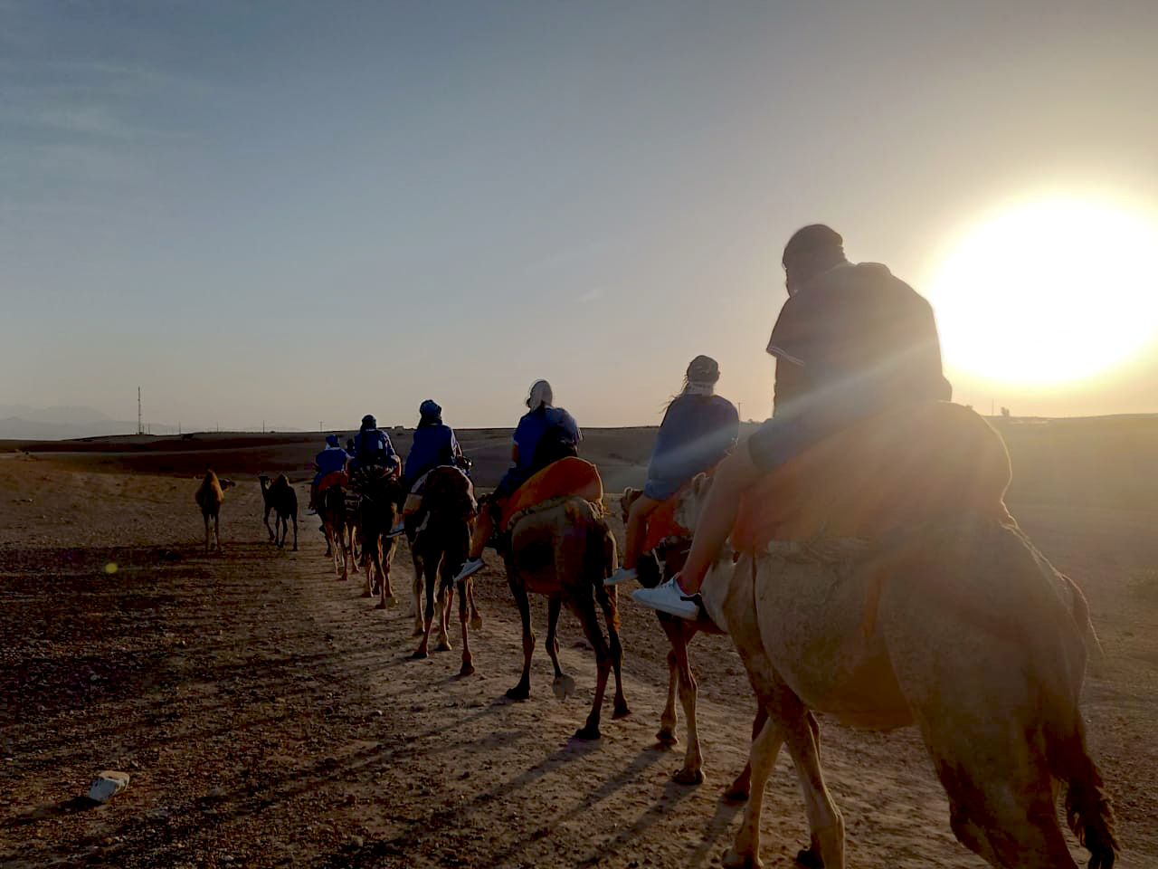 Paseo en camello y experiencia en quad en el desierto rocoso de Agafay
