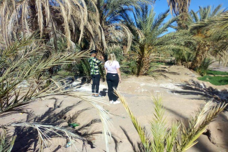 Ouarzazate, Kasbah Ait ben haddou y Oasis Fint Tour de 2 días
