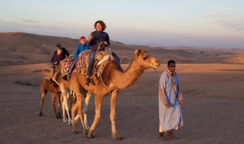 Experiencia de paseo en camello al atardecer en el desierto rocoso de Agafay