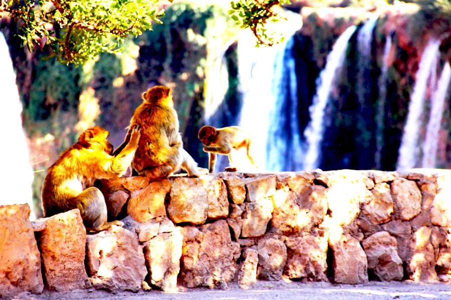 Cataratas de Ouzoud e Iminifri Excursión de 2 días