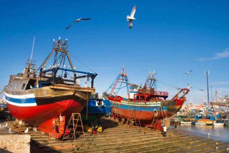 Viaje 2 días a la hermosa ciudad de Essaouira (Mogador)