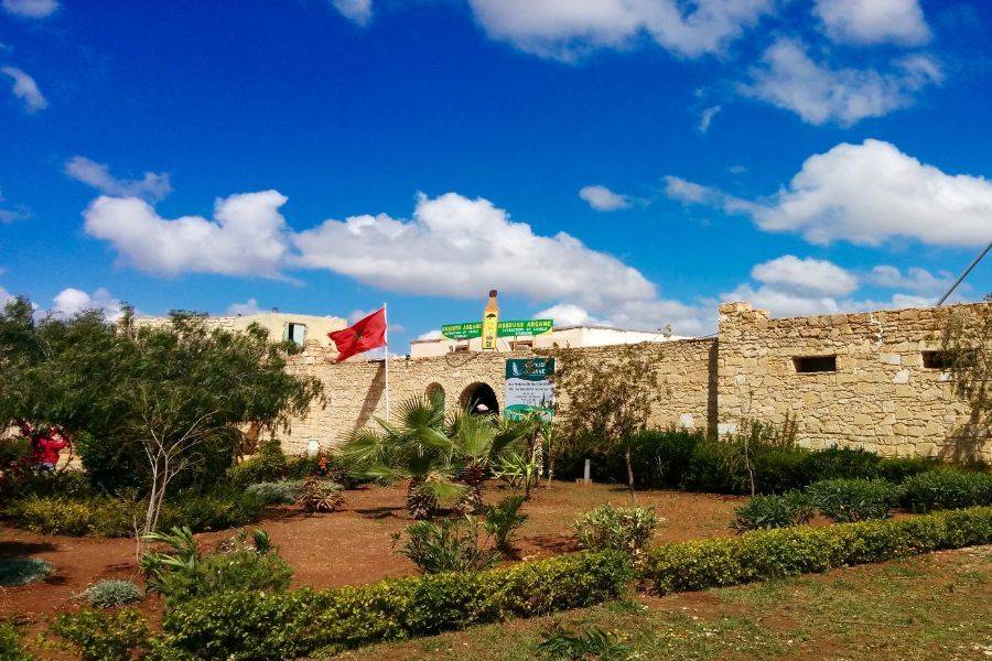 Viaje 2 días a la hermosa ciudad de Essaouira (Mogador)