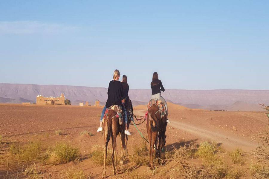 Paseo en camello y experiencia en quad en el desierto rocoso de Agafay