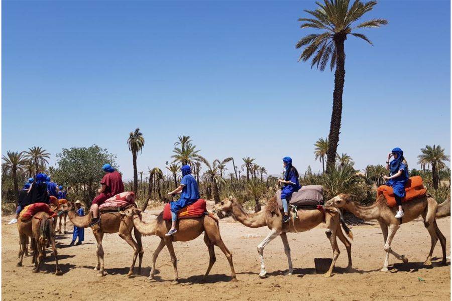 Paseo en buggy de adrenalina y paseo en camello en Palmeraie Marrakech
