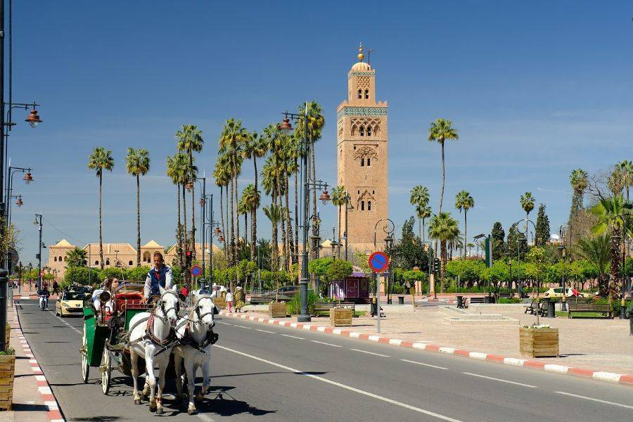 Visita los monumentos históricos de Marrakech