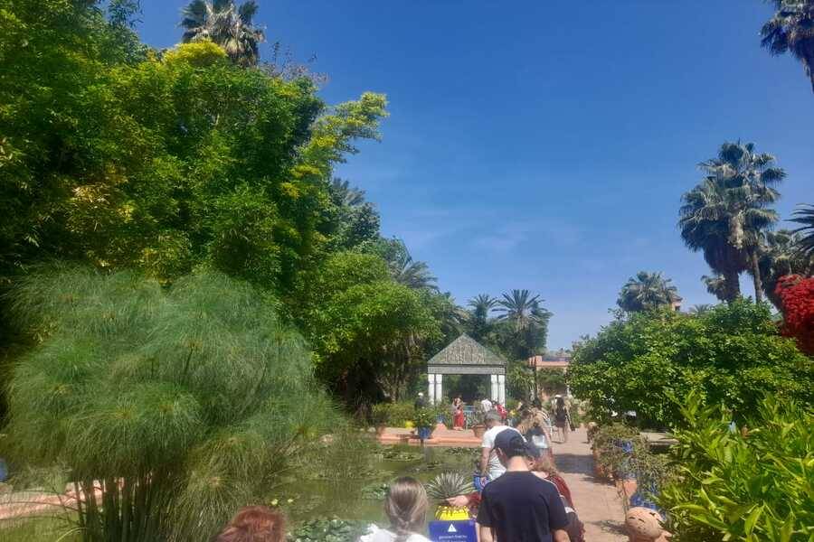 Un hermoso recorrido con carruaje de caballos y visita del jardín Majorelle