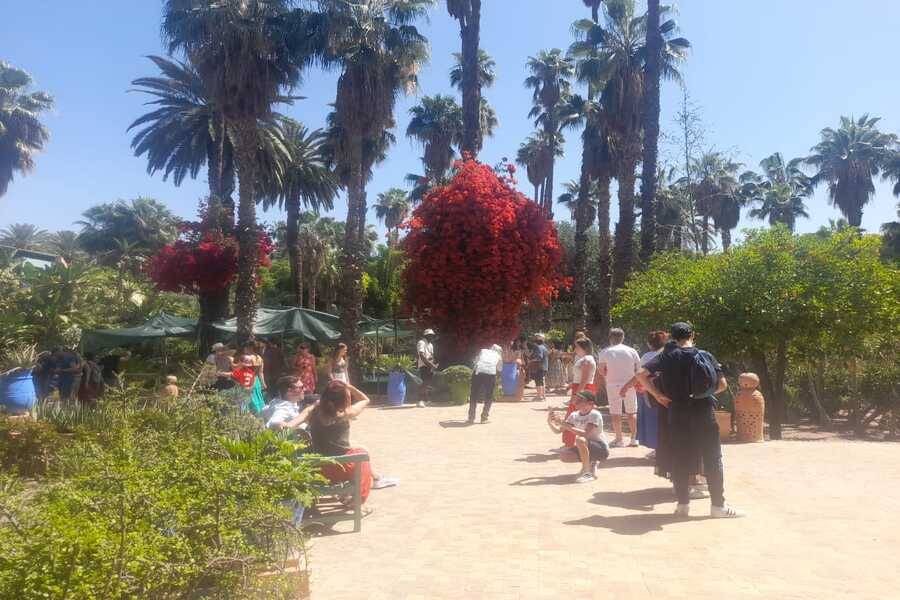 Un hermoso recorrido con carruaje de caballos y visita del jardín Majorelle