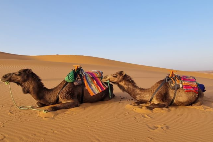 Merzouga 3 días de viaje por el desierto desde Marrakech a Fez