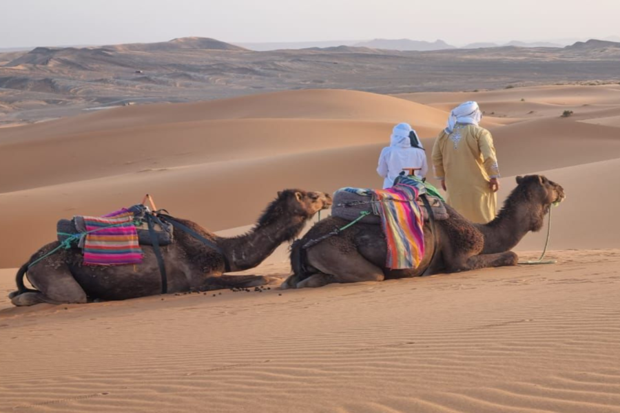 Merzouga 3 días de viaje por el desierto desde Marrakech a Fez