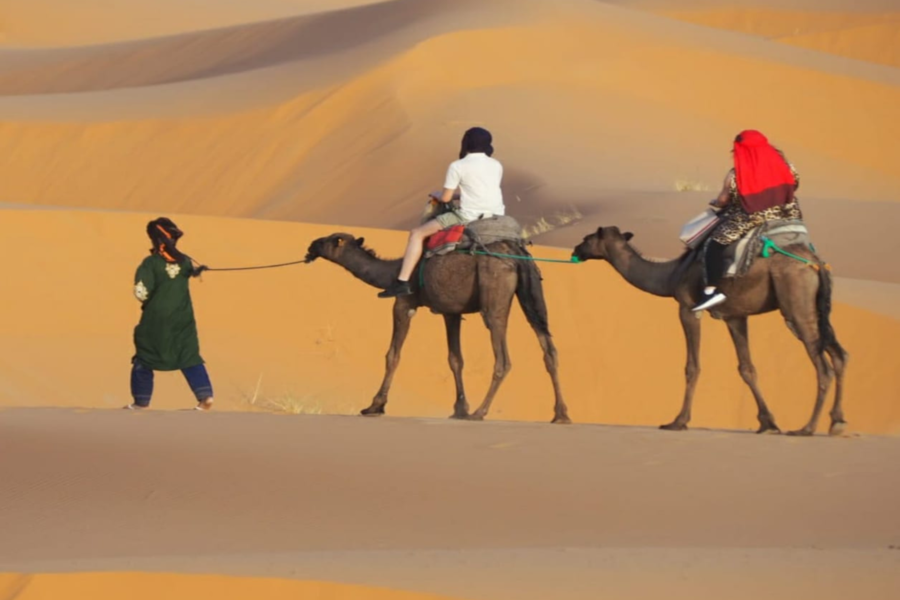 Experiencia de 3 días en el desierto desde Fez a Marrakech