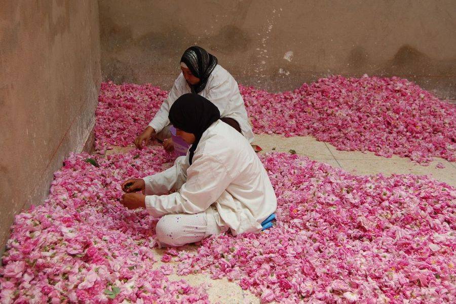 Fez 4 días de excursión por el desierto a Marrakech