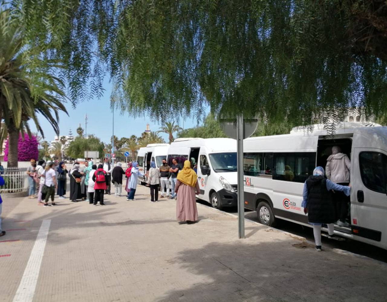 Excursión de un día a Safi y Oualidia