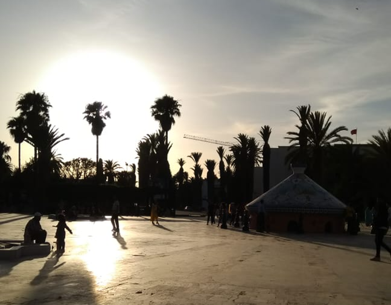Excursión de un día a Safi y Oualidia