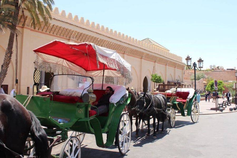 Un hermoso recorrido con carruaje de caballos y visita del jardín Majorelle