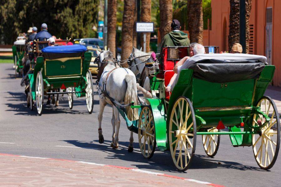Hermoso paseo a caballo en Marrakech