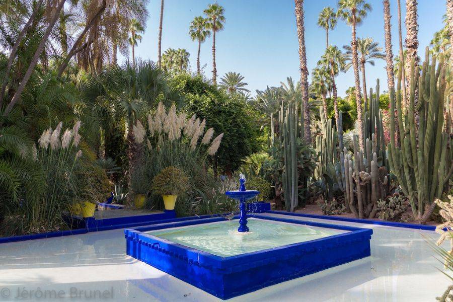 Recorrido por los jardines históricos y las murallas de Marrakech