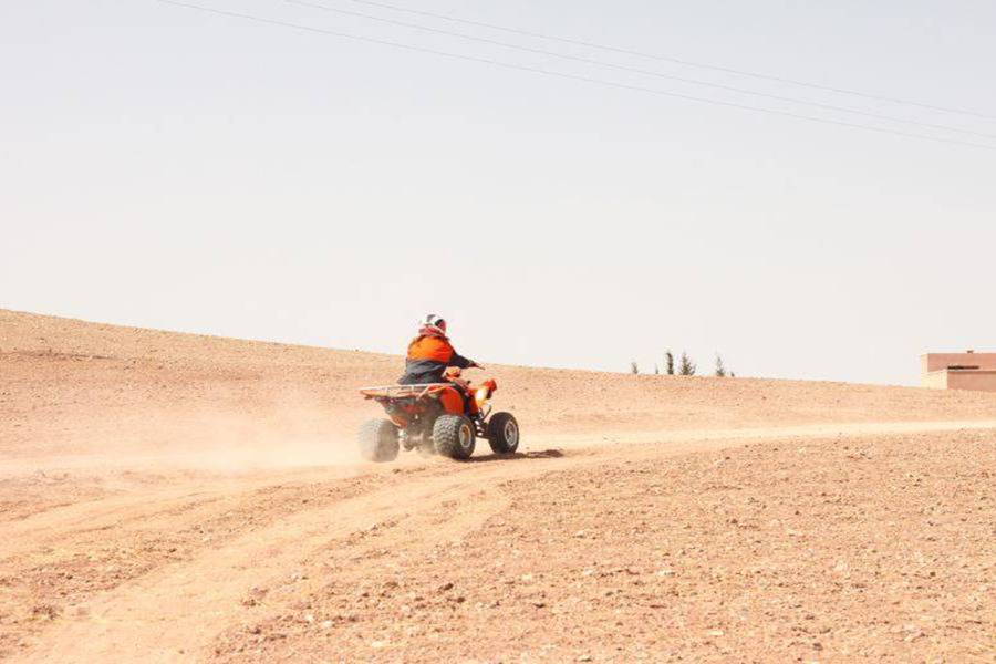 Quad, paseo en camello y cena en el desierto rocoso de Agafay