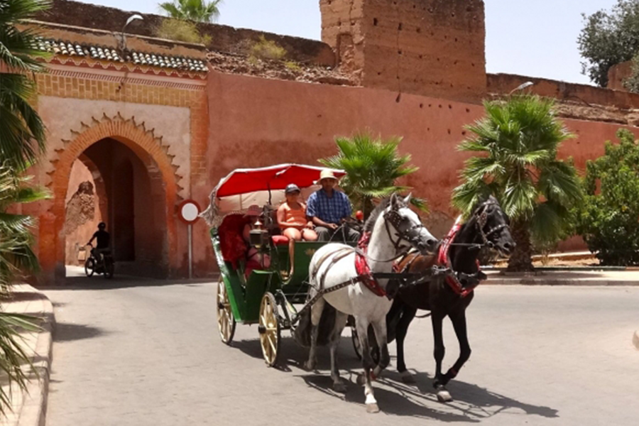 Hermoso paseo a caballo en Marrakech