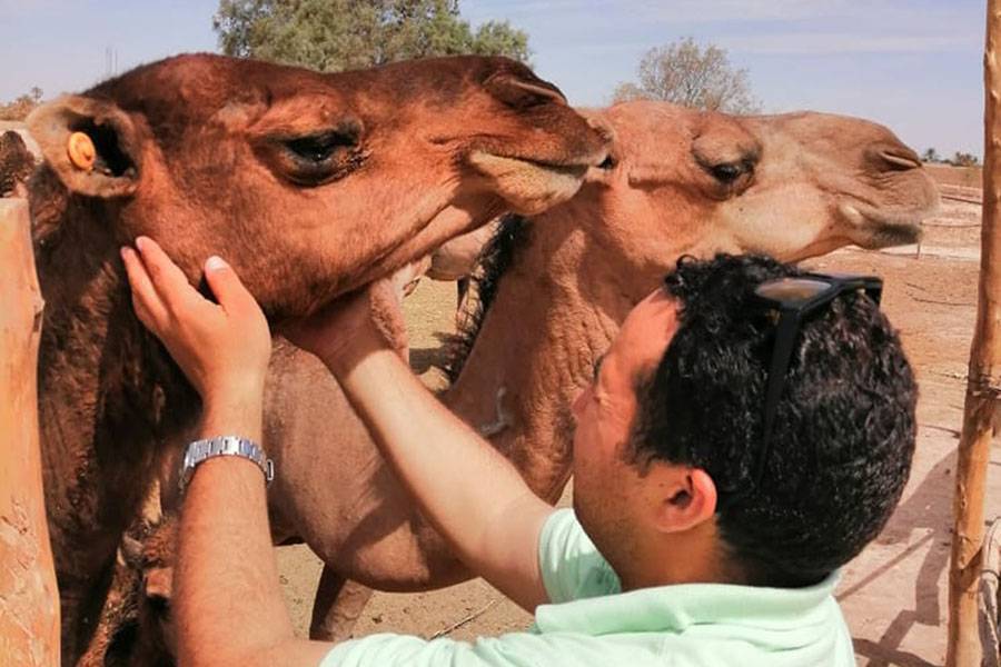 Viaje al desierto en Marruecos (4 días)