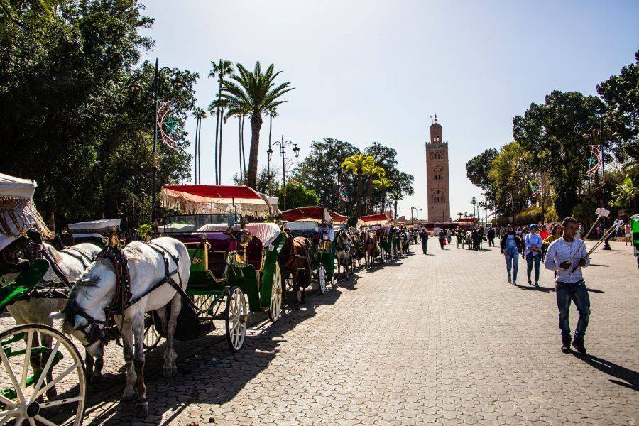 Un hermoso recorrido con carruaje de caballos y visita del jardín Majorelle