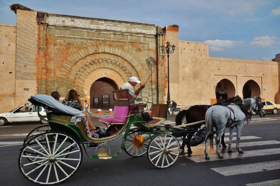 Un hermoso recorrido con carruaje de caballos y visita del jardín Majorelle