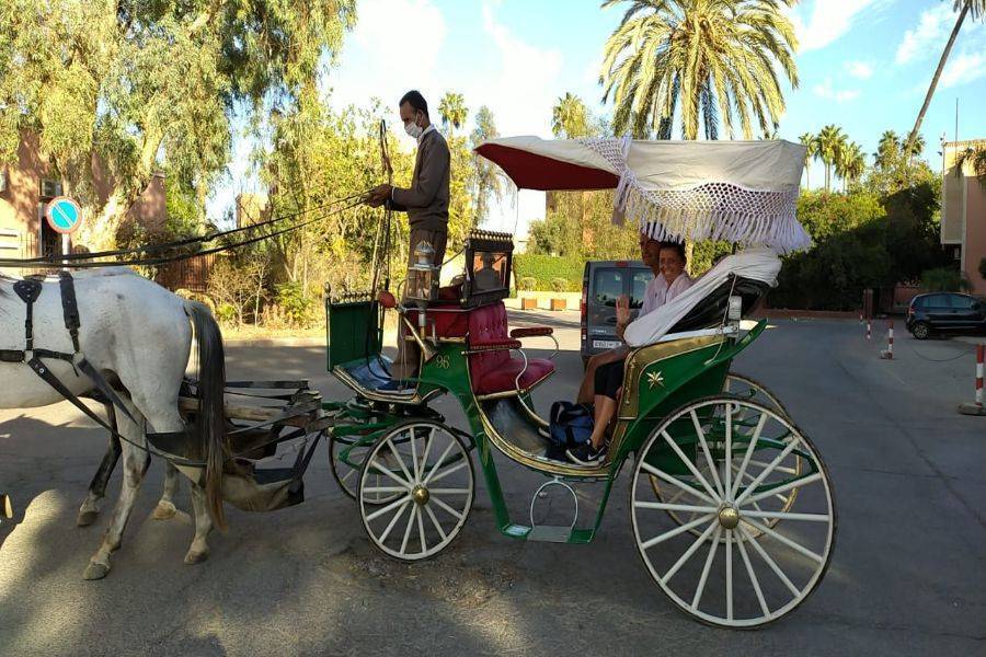 Un hermoso recorrido con carruaje de caballos y visita del jardín Majorelle