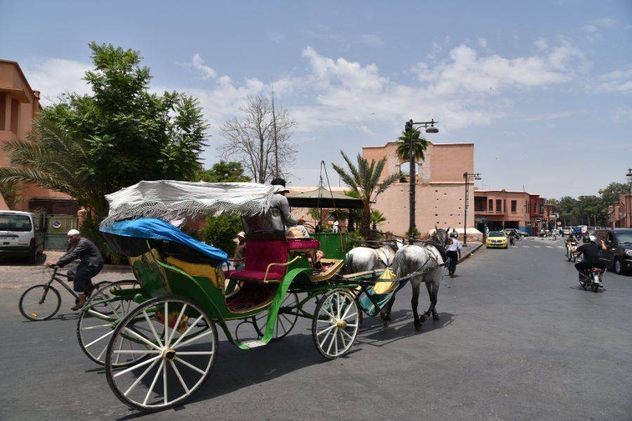 Hermoso paseo a caballo en Marrakech