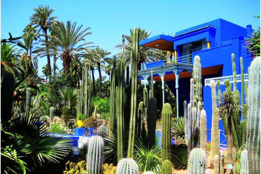 Un hermoso recorrido con carruaje de caballos y visita del jardín Majorelle