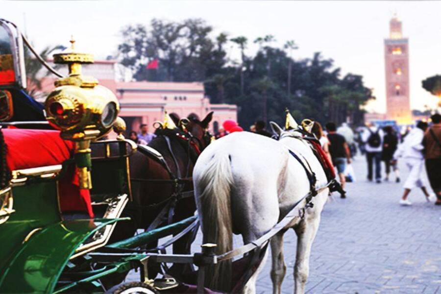 Un hermoso recorrido con carruaje de caballos y visita del jardín Majorelle