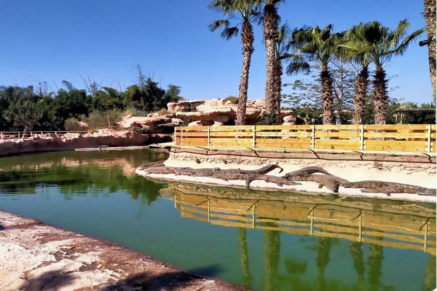 Excursión de un día a Agadir desde Marrakech