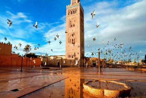 Recorrido por los jardines históricos y las murallas de Marrakech