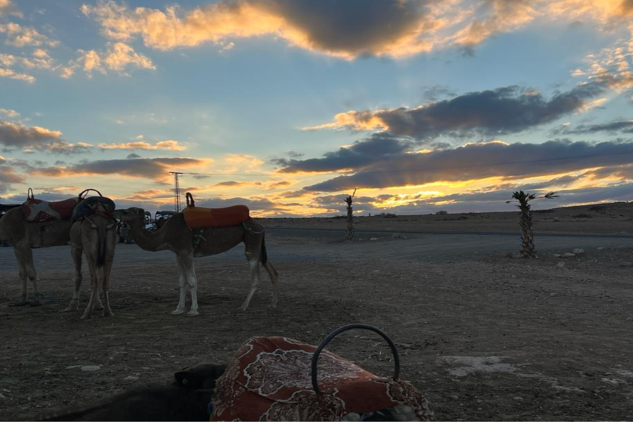 Excursión de un día a la montaña Atlas con paseo en camello al atardecer en Agafay Sahara