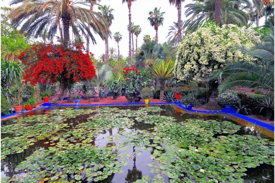 Visita del jardín Majorelle con paseo en camello por la Palmeraie de Marrakech