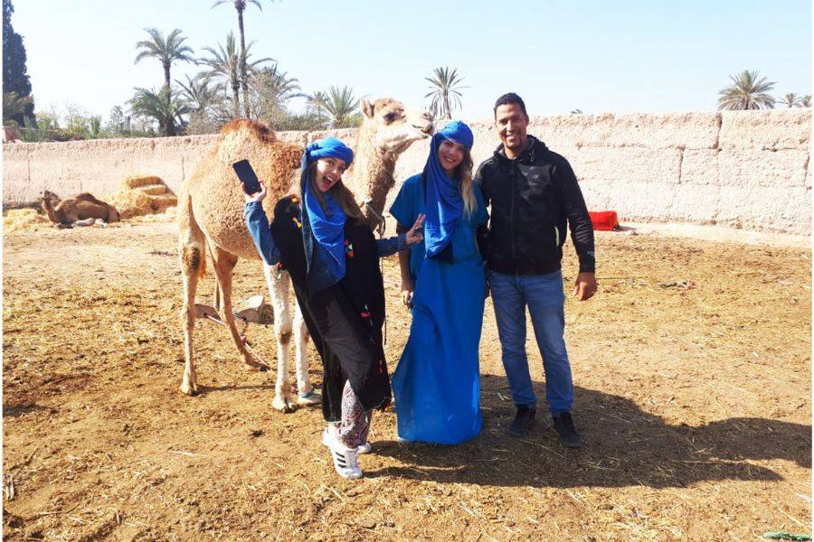 Paseo en camello en la Palmeraie de Marrakech