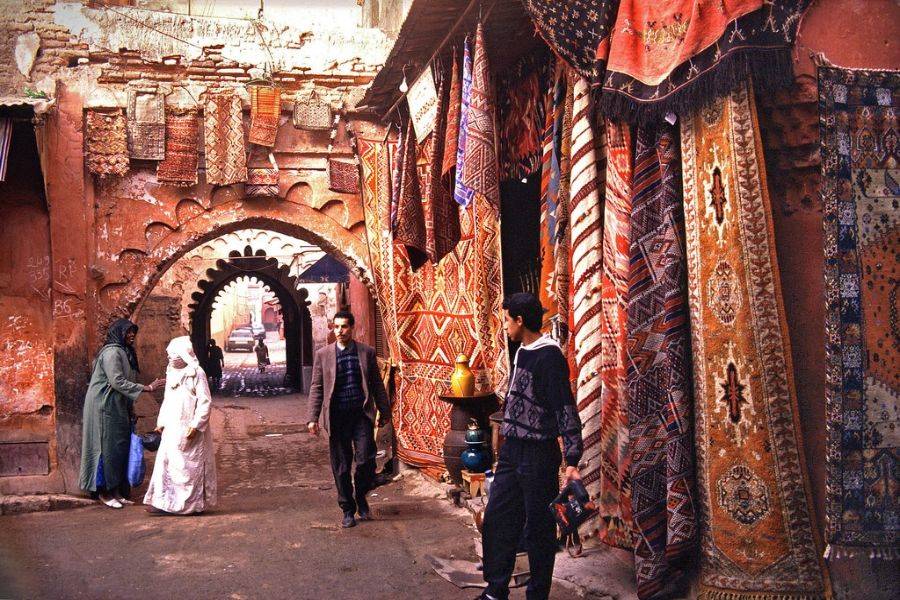 Tour privado de medio día por la guía local de Marrakech