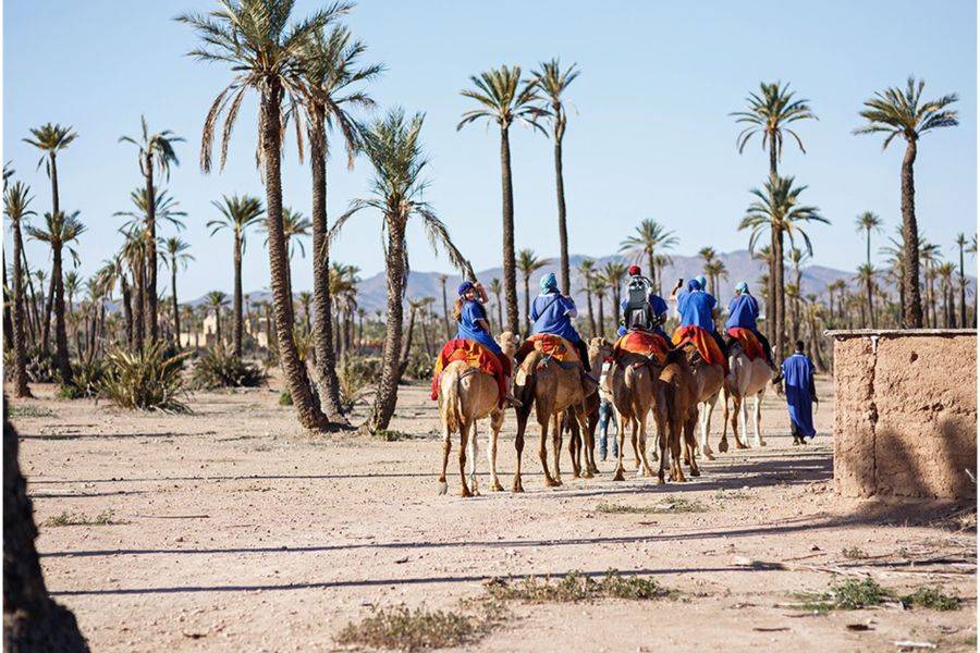 Visita del jardín Majorelle con paseo en camello por la Palmeraie de Marrakech
