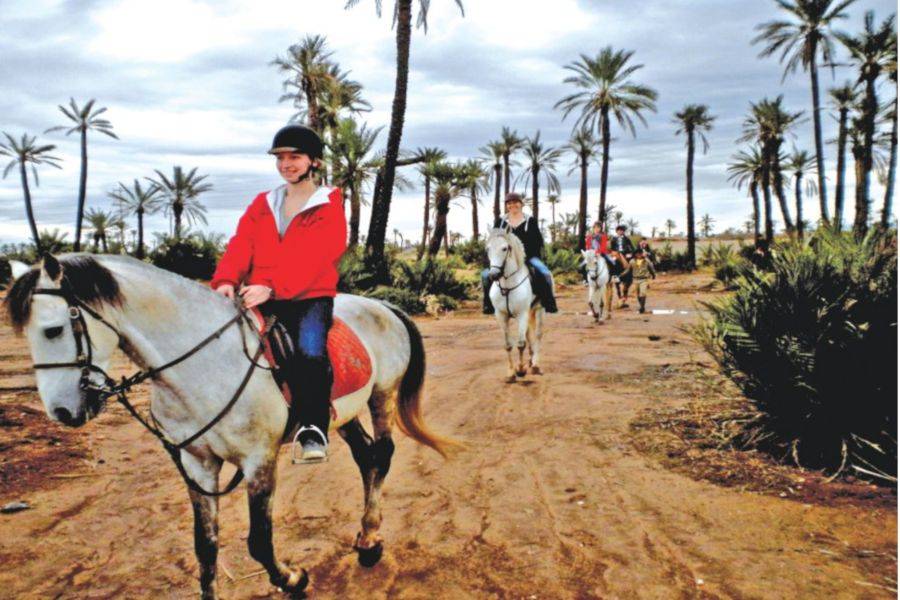 Paseo a caballo en Marrakech Palmeraie