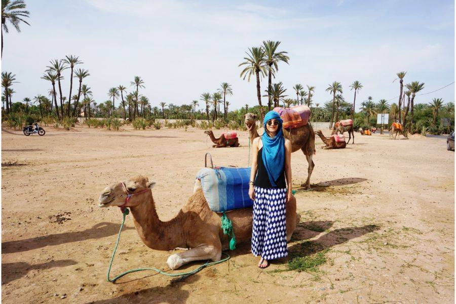 Visita del jardín Majorelle con paseo en camello por la Palmeraie de Marrakech