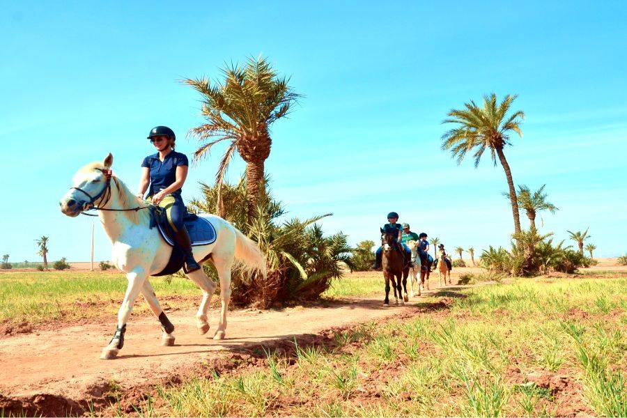 Paseo a caballo en Marrakech Palmeraie