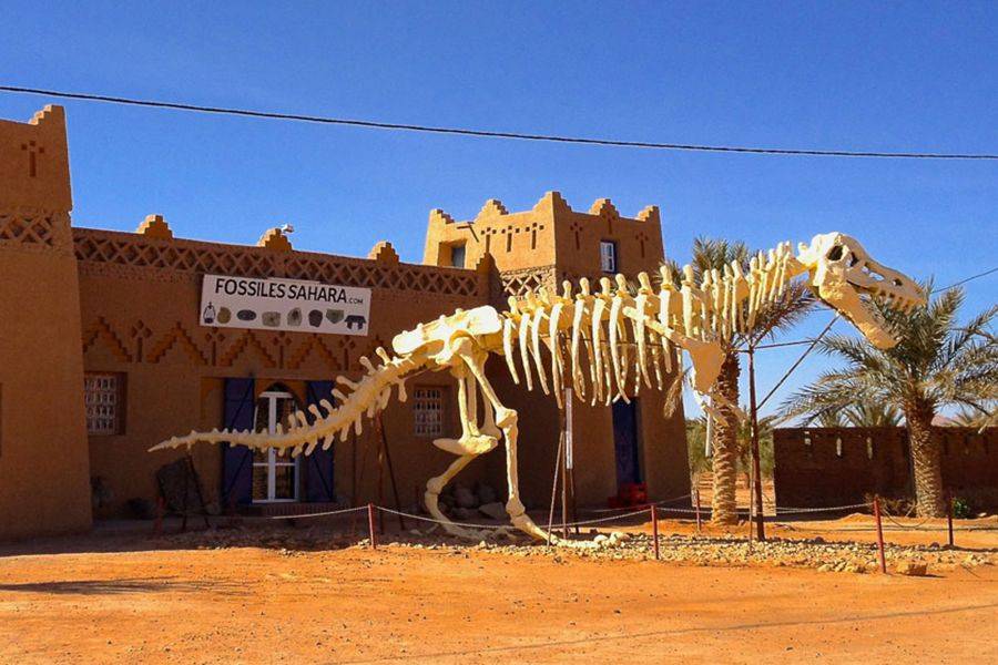 Excursión de 4 días al desierto de Merzouga desde Agadir