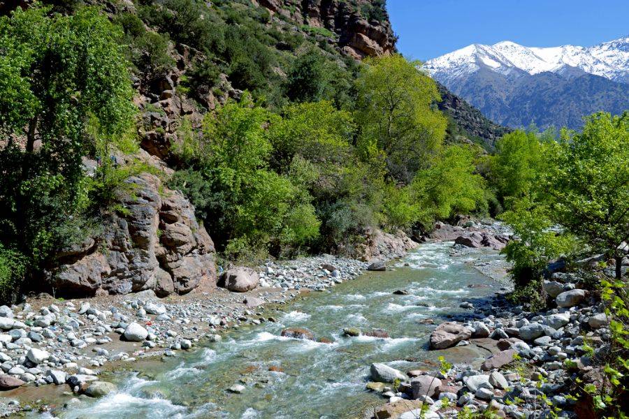 Excursión de un día a la estación de esquí y montaña Atlas