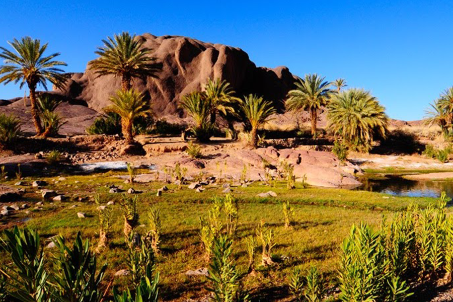 Ouarzazate, Kasbah Ait ben haddou y Oasis Fint Tour de 2 días