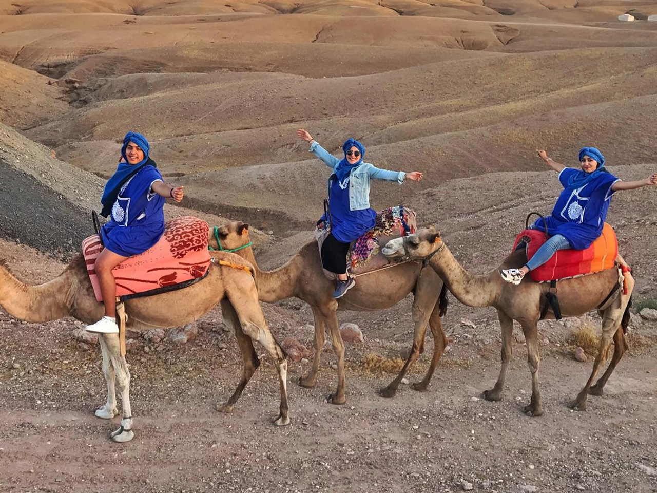 Paseo en camello y experiencia en quad en el desierto rocoso de Agafay