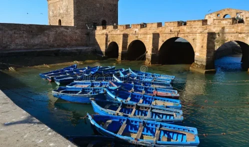 Excursión a de un día a Essaouira 