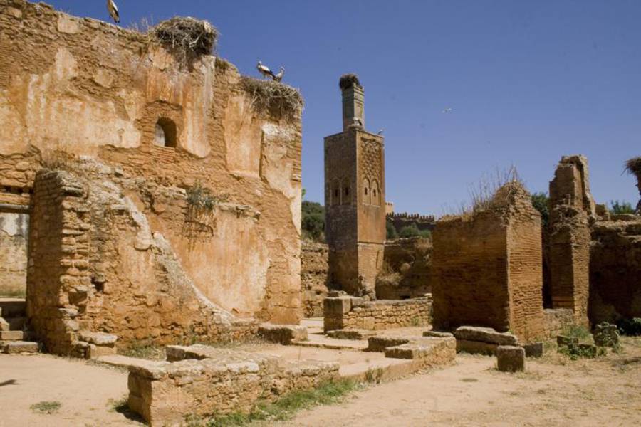 Excursión privada de un día a Rabat desde Casablanca