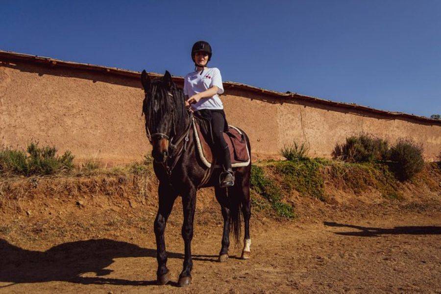 Paseo a caballo en Marrakech Palmeraie