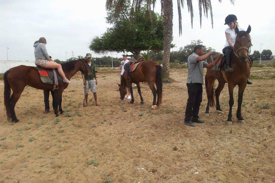 Paseo a caballo en Marrakech Palmeraie