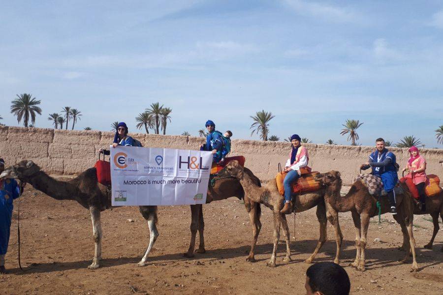 Paseo en camello en la Palmeraie de Marrakech
