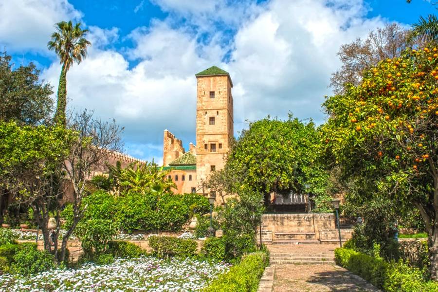 Excursión privada de un día a Rabat desde Casablanca